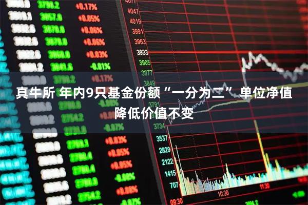 真牛所 年内9只基金份额“一分为二” 单位净值降低价值不变