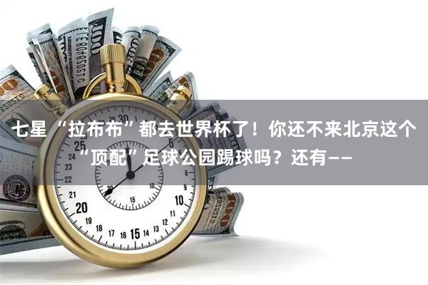 七星 “拉布布”都去世界杯了！你还不来北京这个“顶配”足球公园踢球吗？还有——