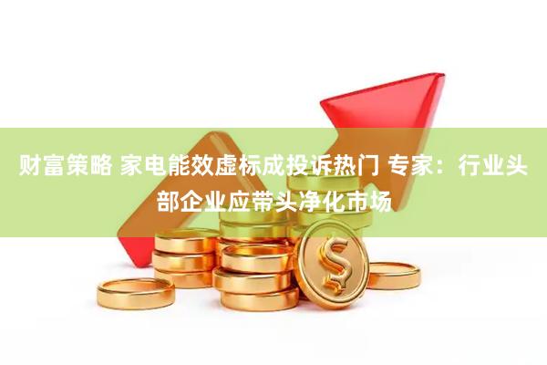 财富策略 家电能效虚标成投诉热门 专家：行业头部企业应带头净化市场