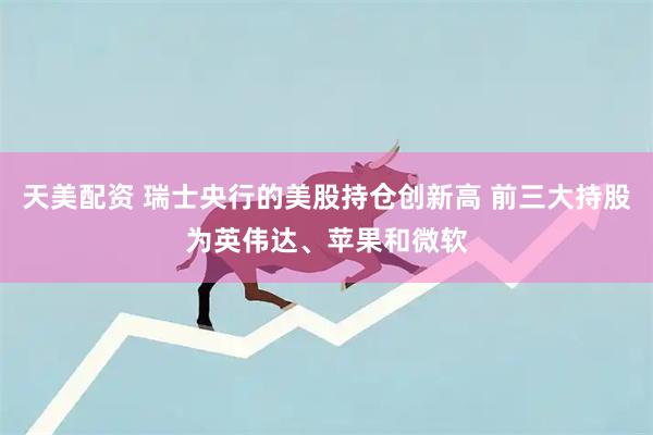 天美配资 瑞士央行的美股持仓创新高 前三大持股为英伟达、苹果和微软